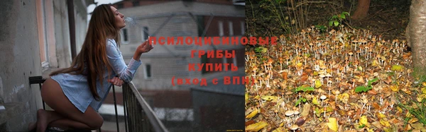 гидропоника Майский