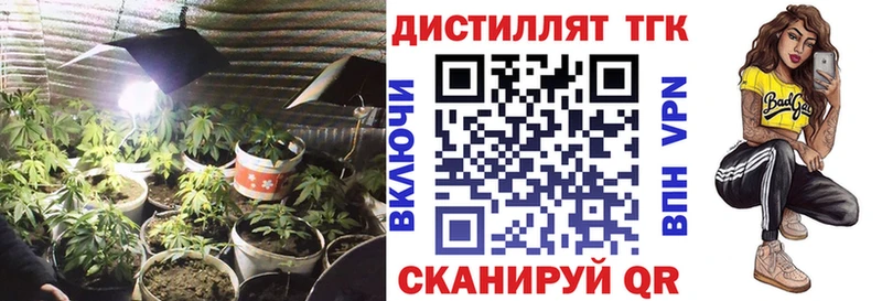 Дистиллят ТГК гашишное масло  Купить где  Магас 