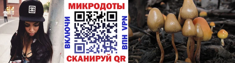 Купить закладки  Магас  Галлюциногенные грибы ЛСД 